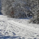 Az első igazi síelős nap