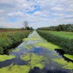 Hanság kerékpár-túra