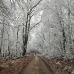 Készülődés a havas időre