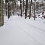 Nyomfektetési kísérlet a 30-35 cm magas új hóban